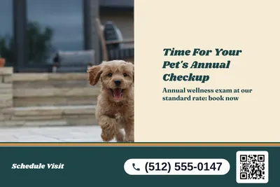 Retro 70s · Split: Time For Your Pet's Annual Checkup