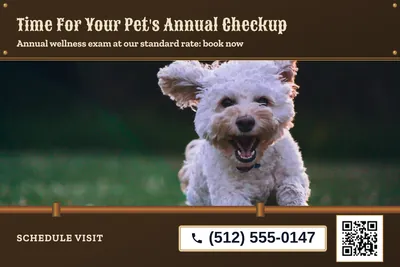 Steampunk · Photo Hero: Time For Your Pet's Annual Checkup