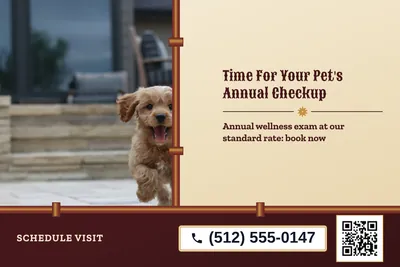 Steampunk · Split: Time For Your Pet's Annual Checkup