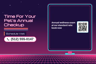 Synthwave · Checklist: Time For Your Pet's Annual Checkup