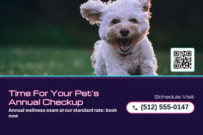 Synthwave · Photo Hero: Time For Your Pet's Annual Checkup