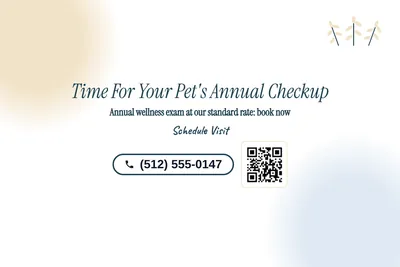Soft watercolour · Big Offer: Time For Your Pet's Annual Checkup
