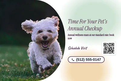 Soft watercolour · Photo Hero: Time For Your Pet's Annual Checkup