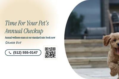 Soft watercolour · Split: Time For Your Pet's Annual Checkup