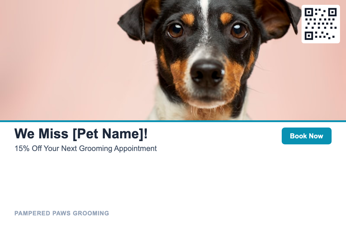 Photo pet grooming postcard design &mdash; Lapsed Customer Reactivation