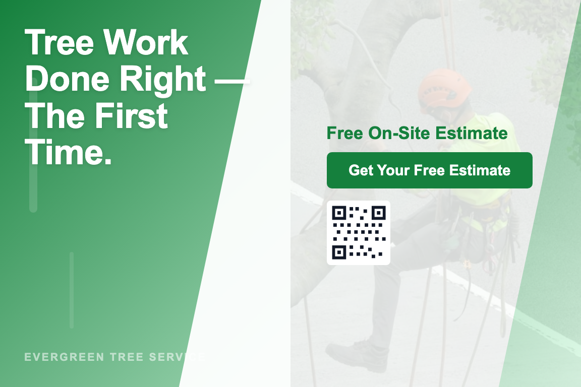 Gradient tree service postcard design &mdash; New Customer Acquisition