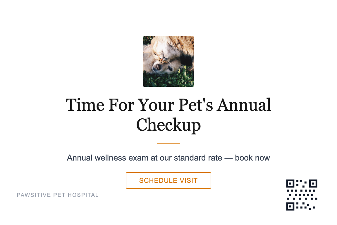 Veterinary Annual Wellness Recall postcard template &mdash; Minimal style