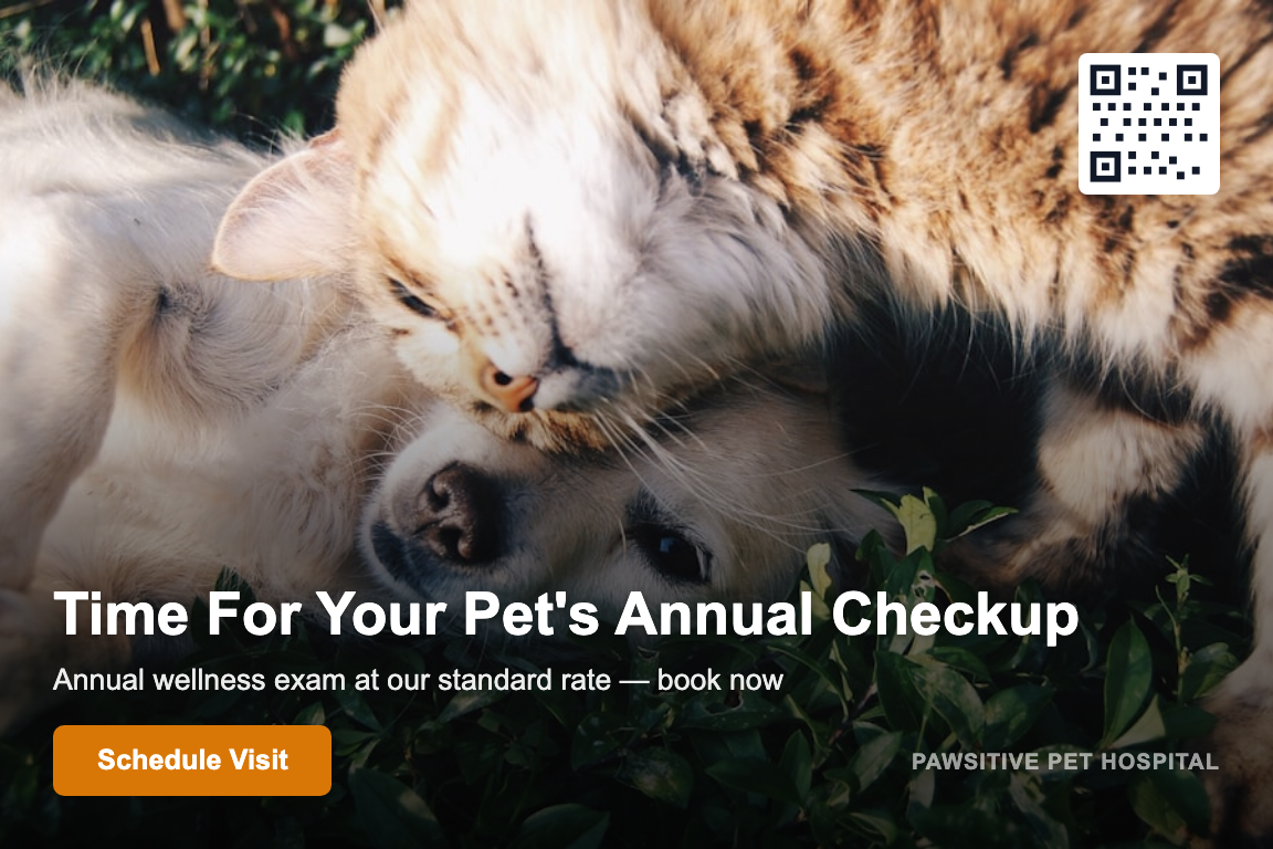 Veterinary annual wellness postcard example